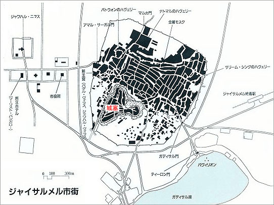 �W���C�T������