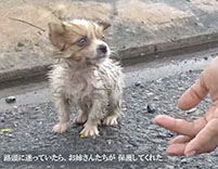 �q���̕ی�