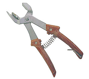 ����݊����