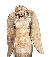 �Z�C���[��