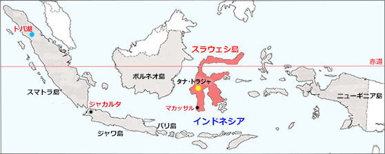 インドネシア トラジャ族のイカット8 青い スラウェシ島