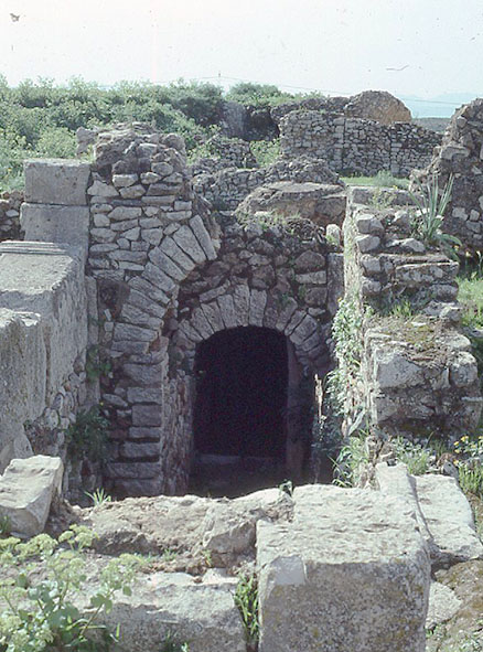 �n���Z��