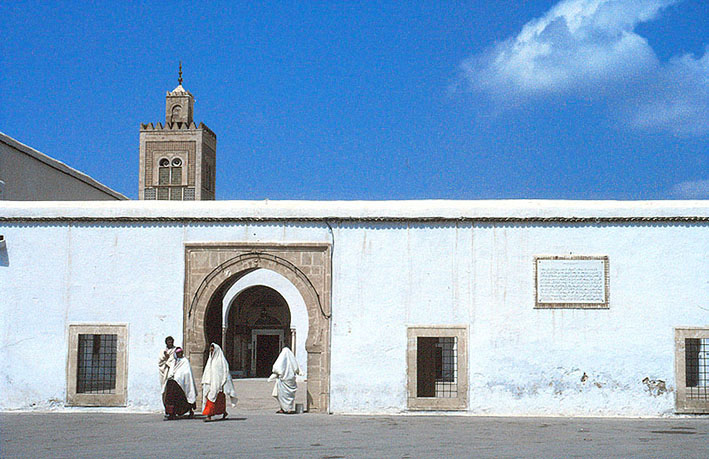 �V�f�B��T�n�u