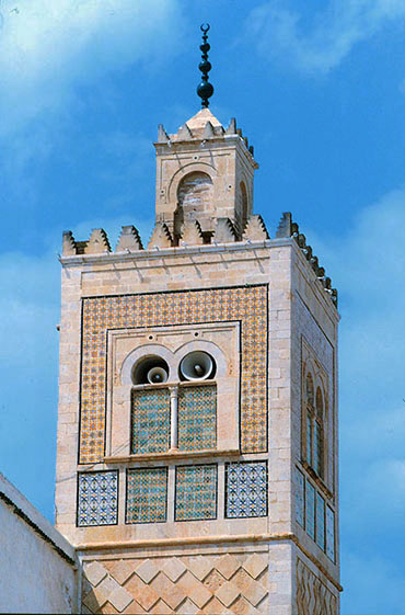 �V�f�B��T�n�u