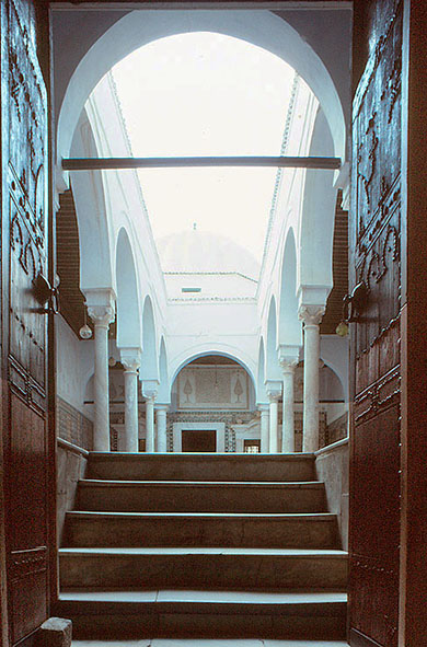 �V�f�B��T�n�u