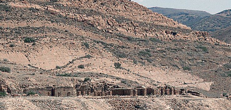 �n���}�[�h