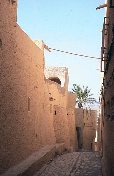 �x�j��C�X�Q��