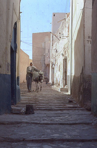 �K���_�C�A