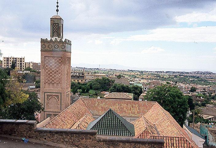 �V�f�B��n���E�B