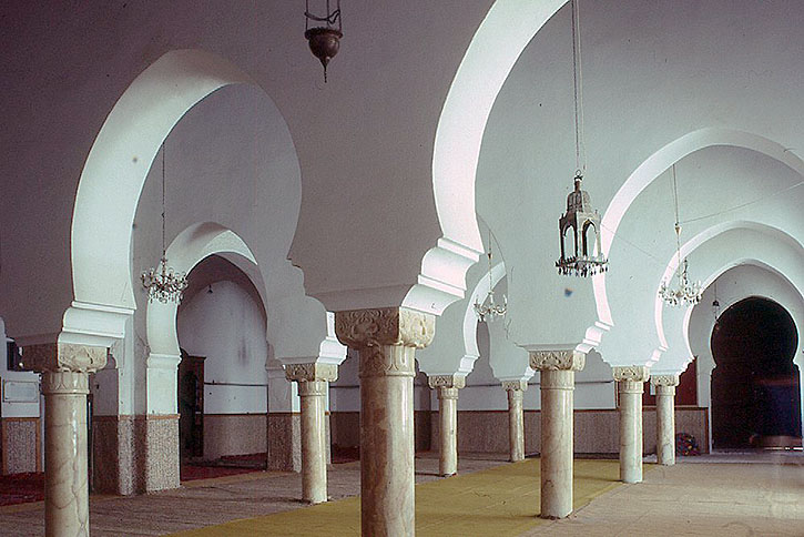 �V�f�B��n���E�B