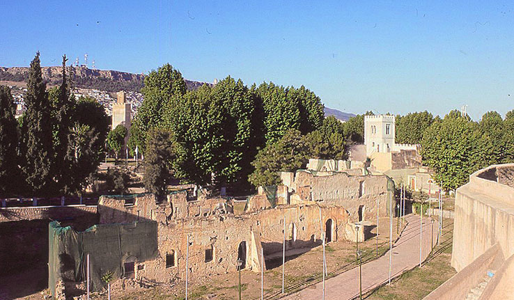 ���V���A�[��